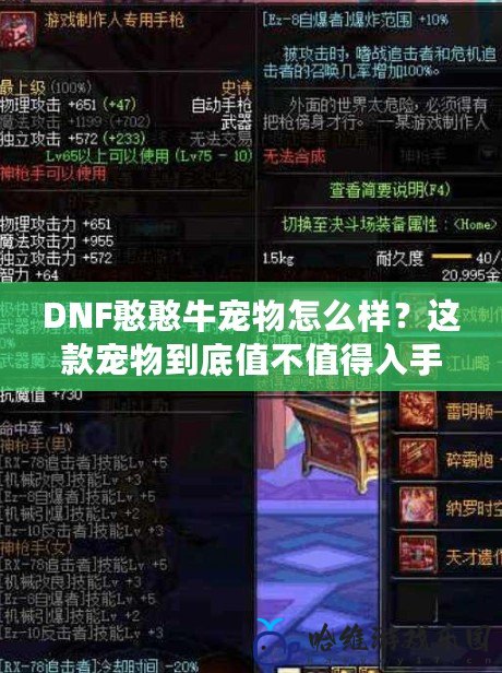 DNF憨憨牛寵物怎么樣？這款寵物到底值不值得入手？