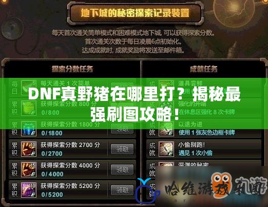 DNF真野豬在哪里打？揭秘最強刷圖攻略！