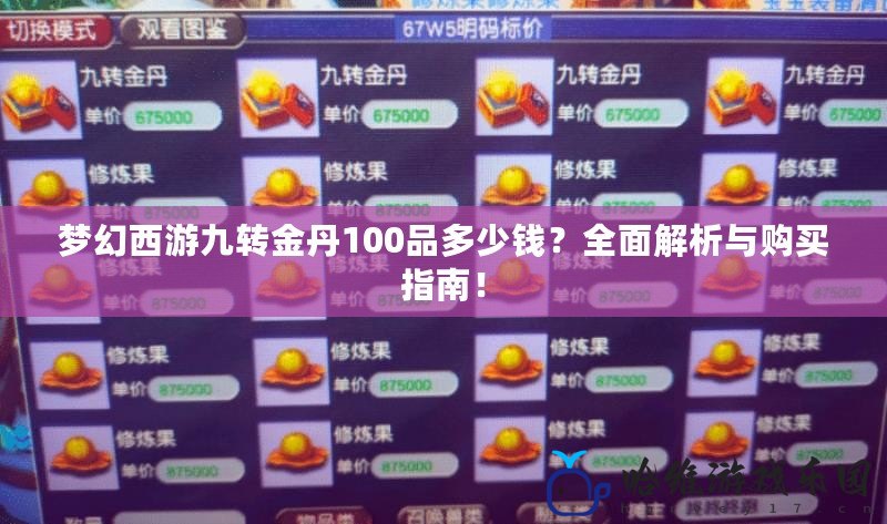 夢幻西游九轉金丹100品多少錢？全面解析與購買指南！