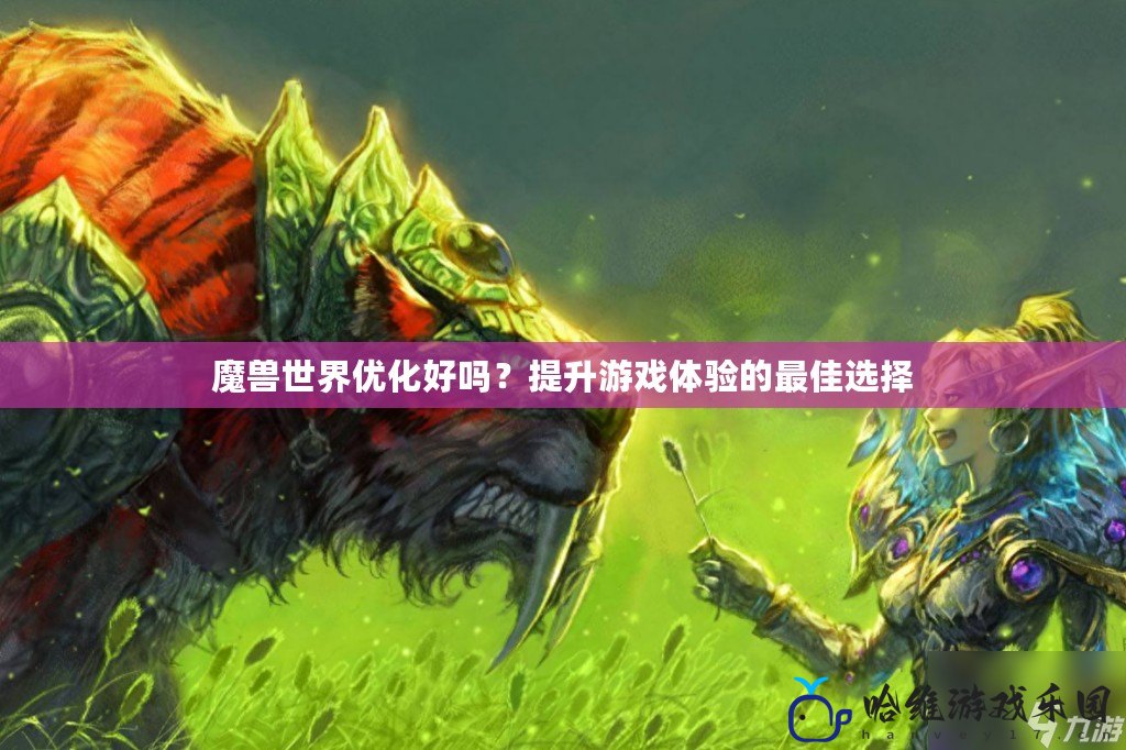 魔獸世界優化好嗎？提升游戲體驗的最佳選擇