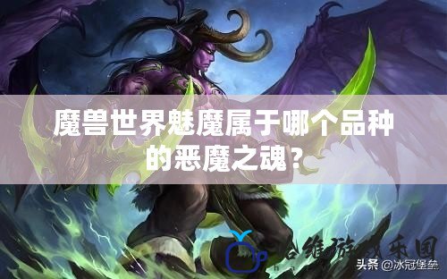 魔獸世界魅魔屬于哪個(gè)品種的惡魔之魂？