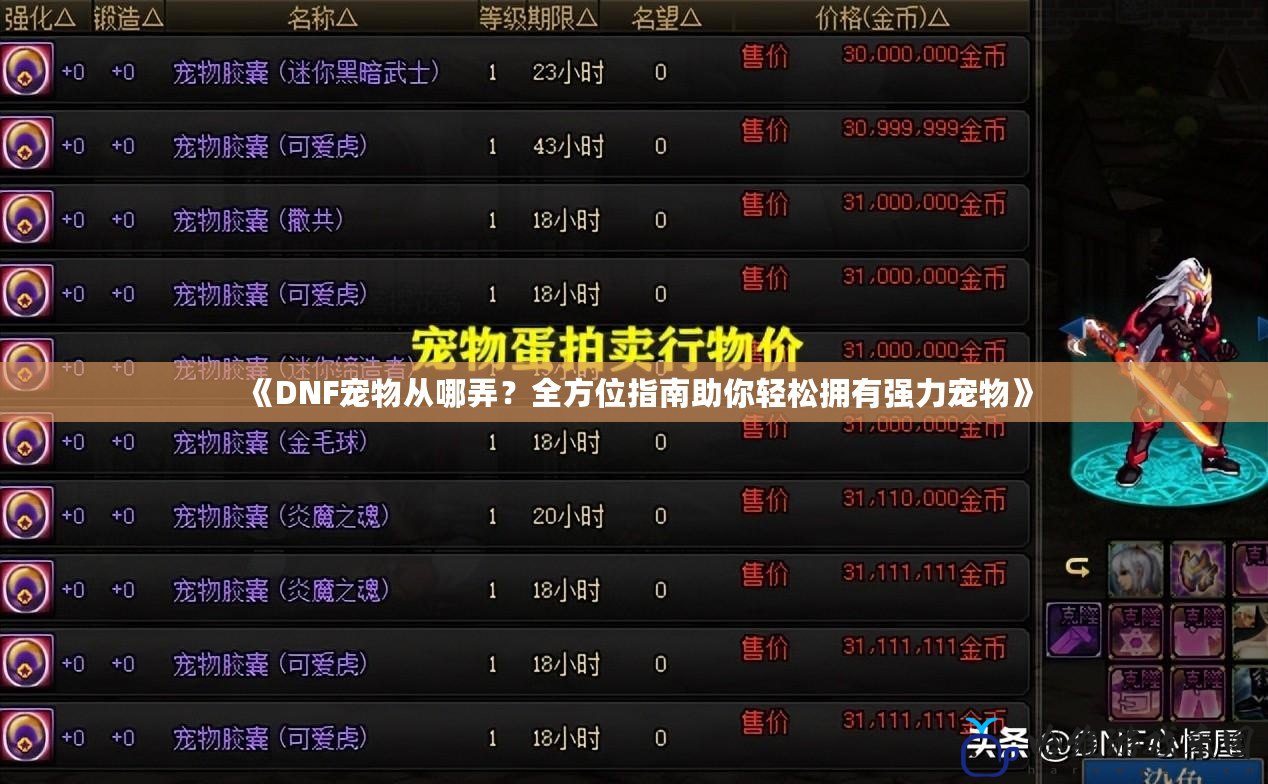 《DNF寵物從哪弄？全方位指南助你輕松擁有強力寵物》