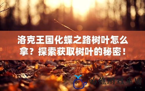 洛克王國化蝶之路樹葉怎么拿？探索獲取樹葉的秘密！