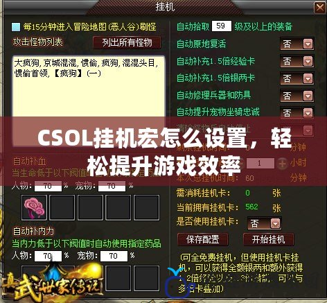 CSOL掛機宏怎么設置，輕松提升游戲效率