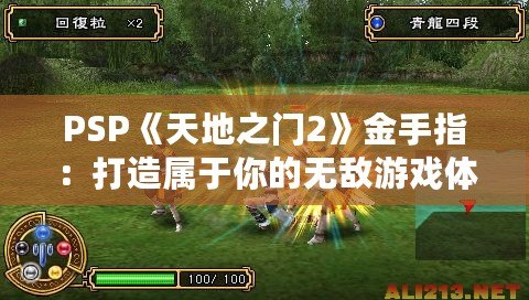 PSP《天地之門2》金手指：打造屬于你的無敵游戲體驗