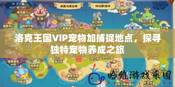 洛克王國VIP寵物加捕捉地點，探尋獨特寵物養(yǎng)成之旅