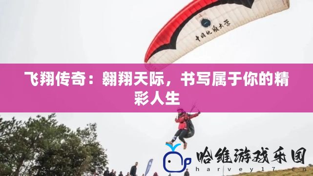 飛翔傳奇：翱翔天際，書寫屬于你的精彩人生