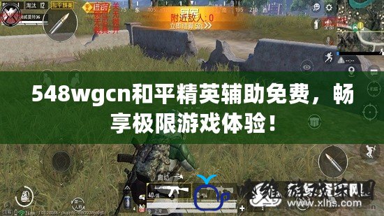 548wgcn和平精英輔助免費，暢享極限游戲體驗！