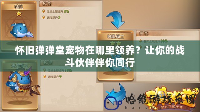 懷舊彈彈堂寵物在哪里領(lǐng)養(yǎng)？讓你的戰(zhàn)斗伙伴伴你同行