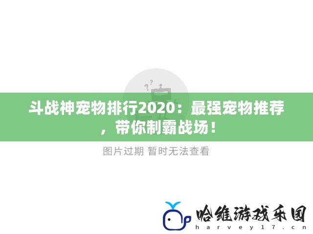 斗戰神寵物排行2020：最強寵物推薦，帶你制霸戰場！