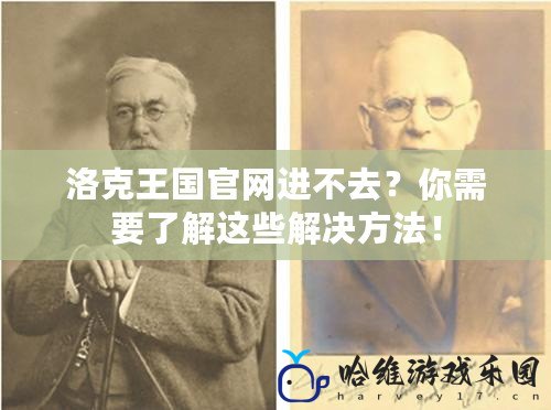 洛克王國官網進不去？你需要了解這些解決方法！