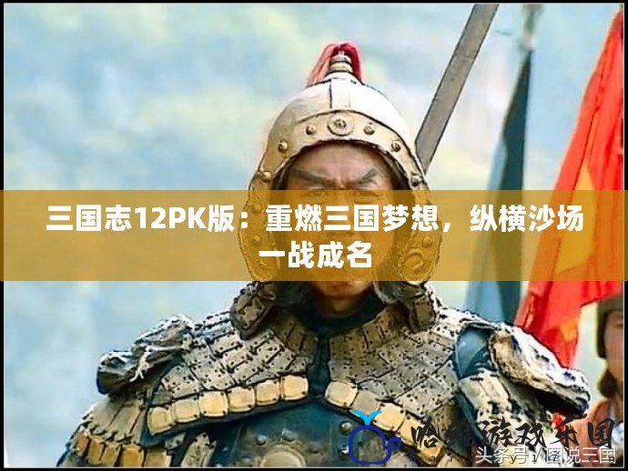 三國志12PK版：重燃三國夢想，縱橫沙場一戰成名