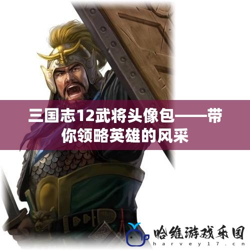 三國志12武將頭像包——帶你領(lǐng)略英雄的風(fēng)采