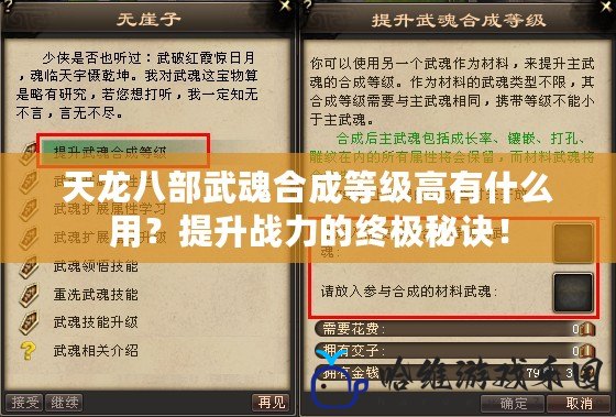 天龍八部武魂合成等級高有什么用？提升戰力的終極秘訣！