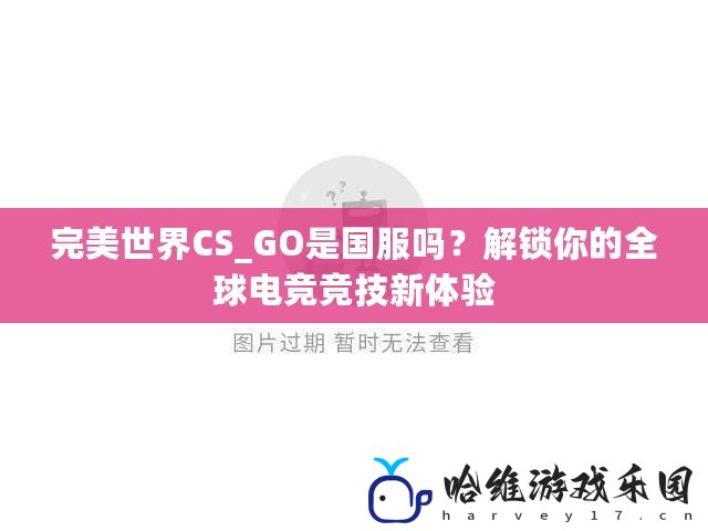 完美世界CS_GO是國服嗎？解鎖你的全球電競競技新體驗