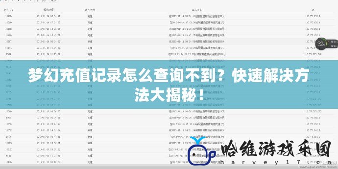 夢幻充值記錄怎么查詢不到？快速解決方法大揭秘！