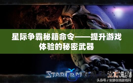 星際爭霸秘籍命令——提升游戲體驗的秘密武器