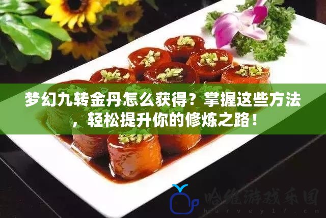 夢(mèng)幻九轉(zhuǎn)金丹怎么獲得？掌握這些方法，輕松提升你的修煉之路！