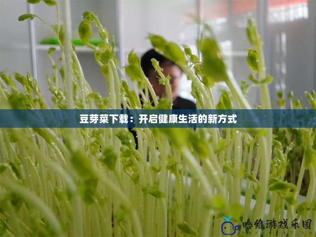 豆芽菜下載：開啟健康生活的新方式