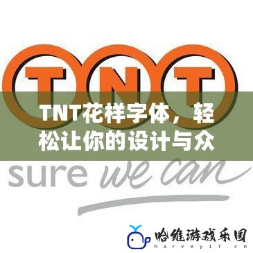 TNT花樣字體，輕松讓你的設計與眾不同！