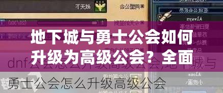 地下城與勇士公會如何升級為高級公會？全面攻略讓你輕松躍升！