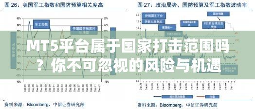 MT5平臺屬于國家打擊范圍嗎？你不可忽視的風險與機遇