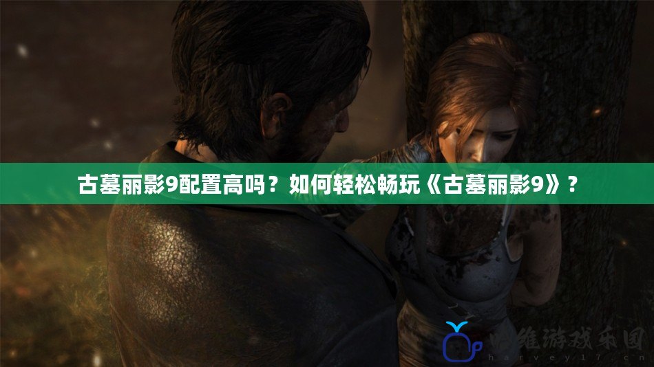 古墓麗影9配置高嗎？如何輕松暢玩《古墓麗影9》？