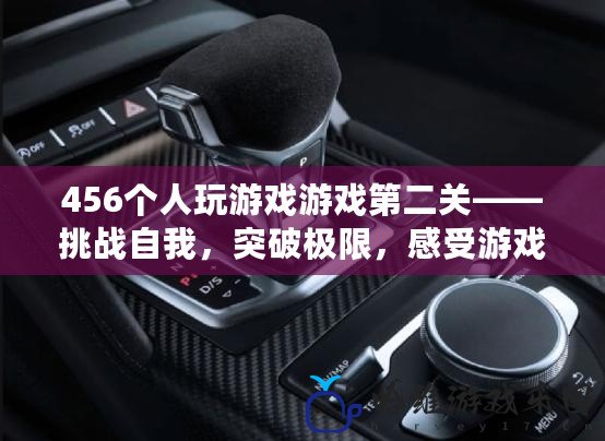 456個人玩游戲游戲第二關——挑戰自我，突破極限，感受游戲的無窮魅力！