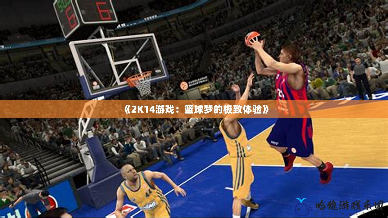 《2K14游戲：籃球夢的極致體驗》