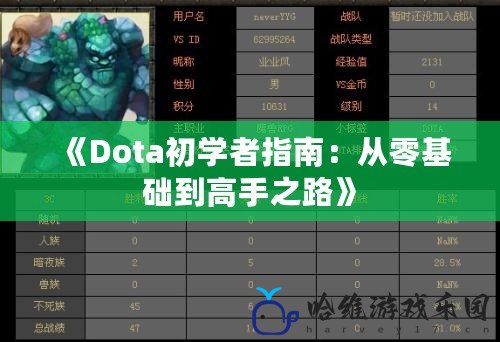 《Dota初學(xué)者指南：從零基礎(chǔ)到高手之路》