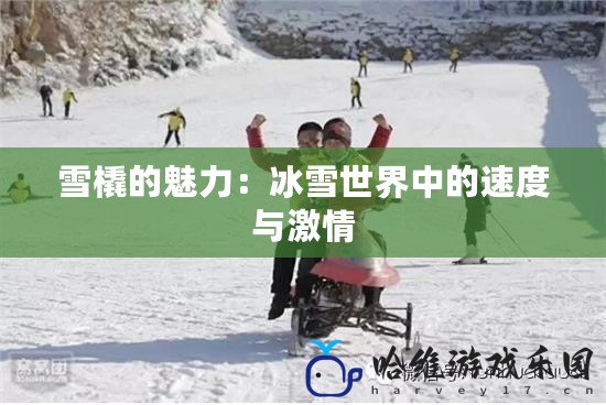 雪橇的魅力：冰雪世界中的速度與激情