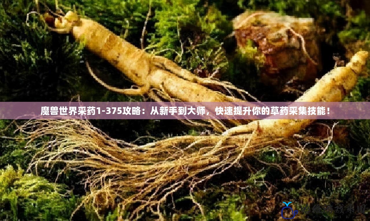 魔獸世界采藥1-375攻略：從新手到大師，快速提升你的草藥采集技能！