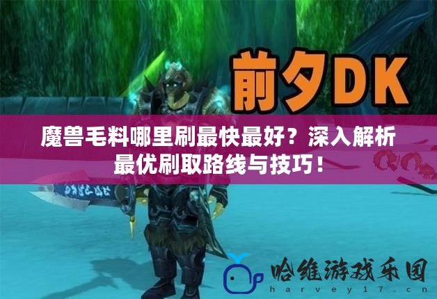 魔獸毛料哪里刷最快最好？深入解析最優刷取路線與技巧！