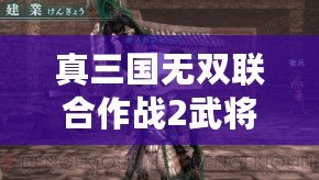 真三國無雙聯合作戰2武將選擇——打造無敵戰陣，暢享策略競技樂趣