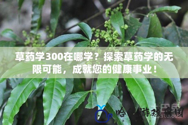 草藥學300在哪學？探索草藥學的無限可能，成就您的健康事業！