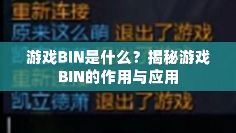 游戲BIN是什么？揭秘游戲BIN的作用與應(yīng)用