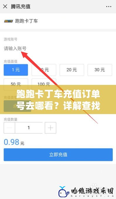 跑跑卡丁車充值訂單號去哪看？詳解查找方式，讓你輕松找到充值記錄
