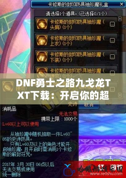 DNF勇士之路九戈龍TXT下載：開啟你的超強征程，掌握力量與榮耀