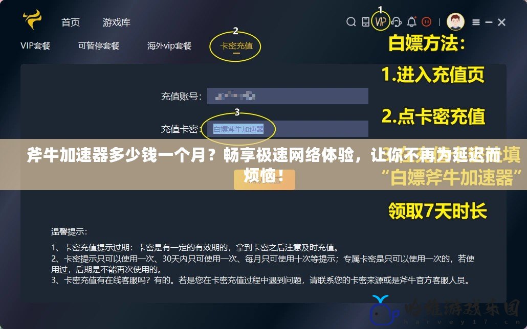 斧牛加速器多少錢一個月？暢享極速網絡體驗，讓你不再為延遲而煩惱！