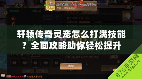 軒轅傳奇靈寵怎么打滿技能？全面攻略助你輕松提升