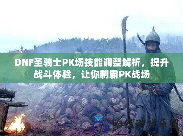 DNF圣騎士PK場技能調整解析，提升戰斗體驗，讓你制霸PK戰場