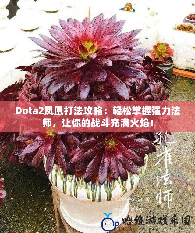 Dota2鳳凰打法攻略：輕松掌握強力法師，讓你的戰斗充滿火焰！