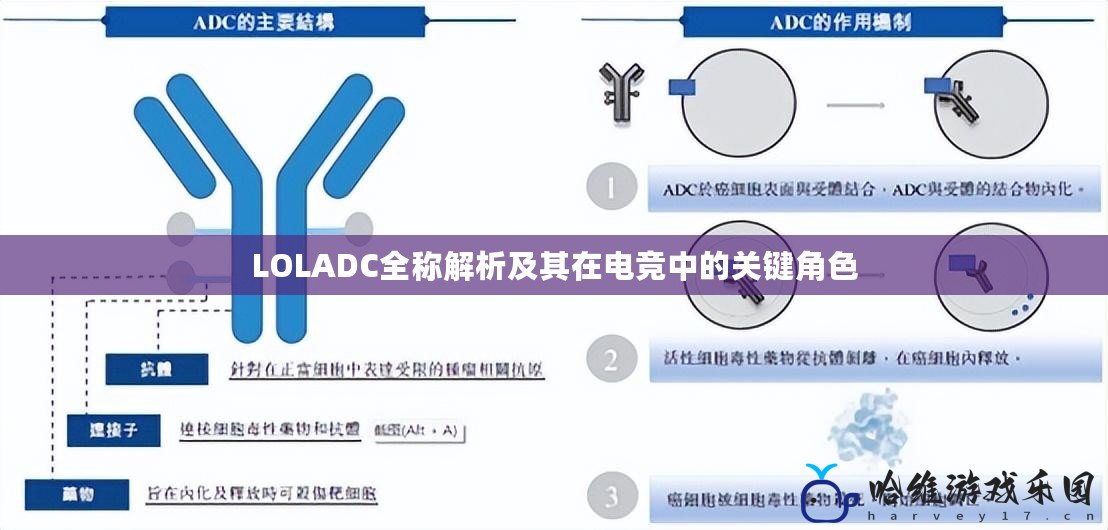 LOLADC全稱解析及其在電競中的關鍵角色