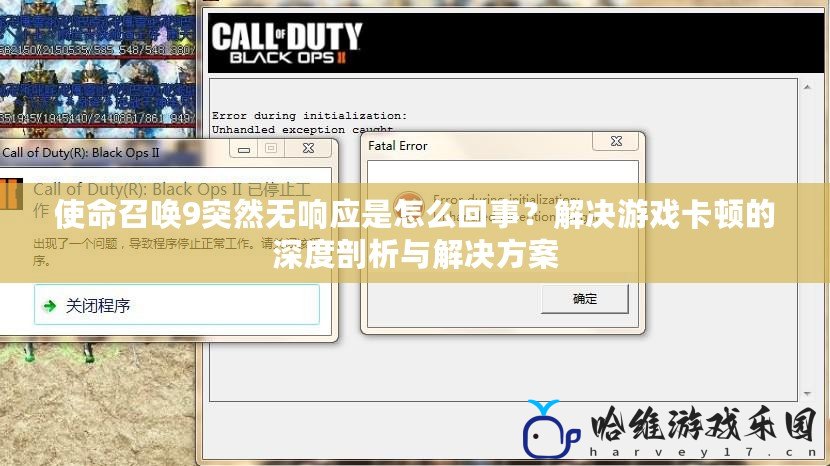 使命召喚9突然無響應(yīng)是怎么回事？解決游戲卡頓的深度剖析與解決方案