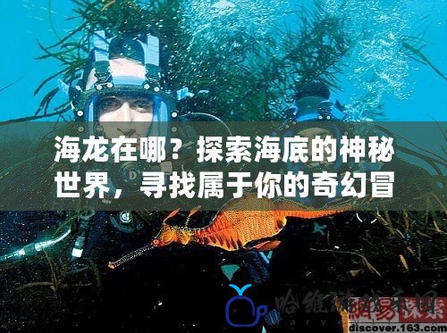 海龍在哪？探索海底的神秘世界，尋找屬于你的奇幻冒險