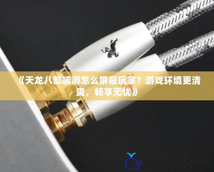 《天龍八部端游怎么屏蔽玩家？游戲環境更清爽，暢享無憂》