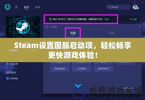 Steam設(shè)置國服啟動(dòng)項(xiàng)，輕松暢享更快游戲體驗(yàn)！