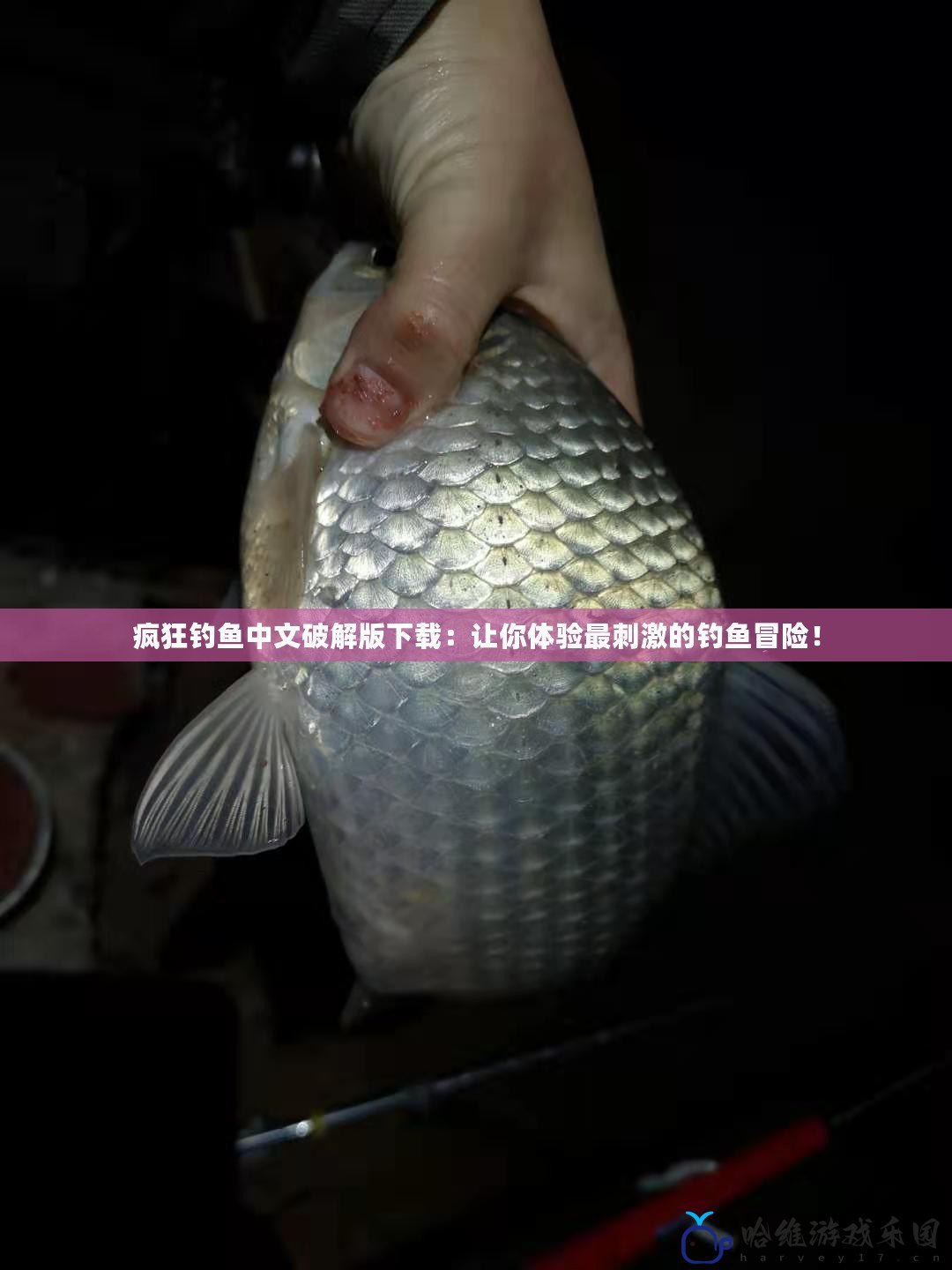 瘋狂釣魚中文破解版下載：讓你體驗最刺激的釣魚冒險！